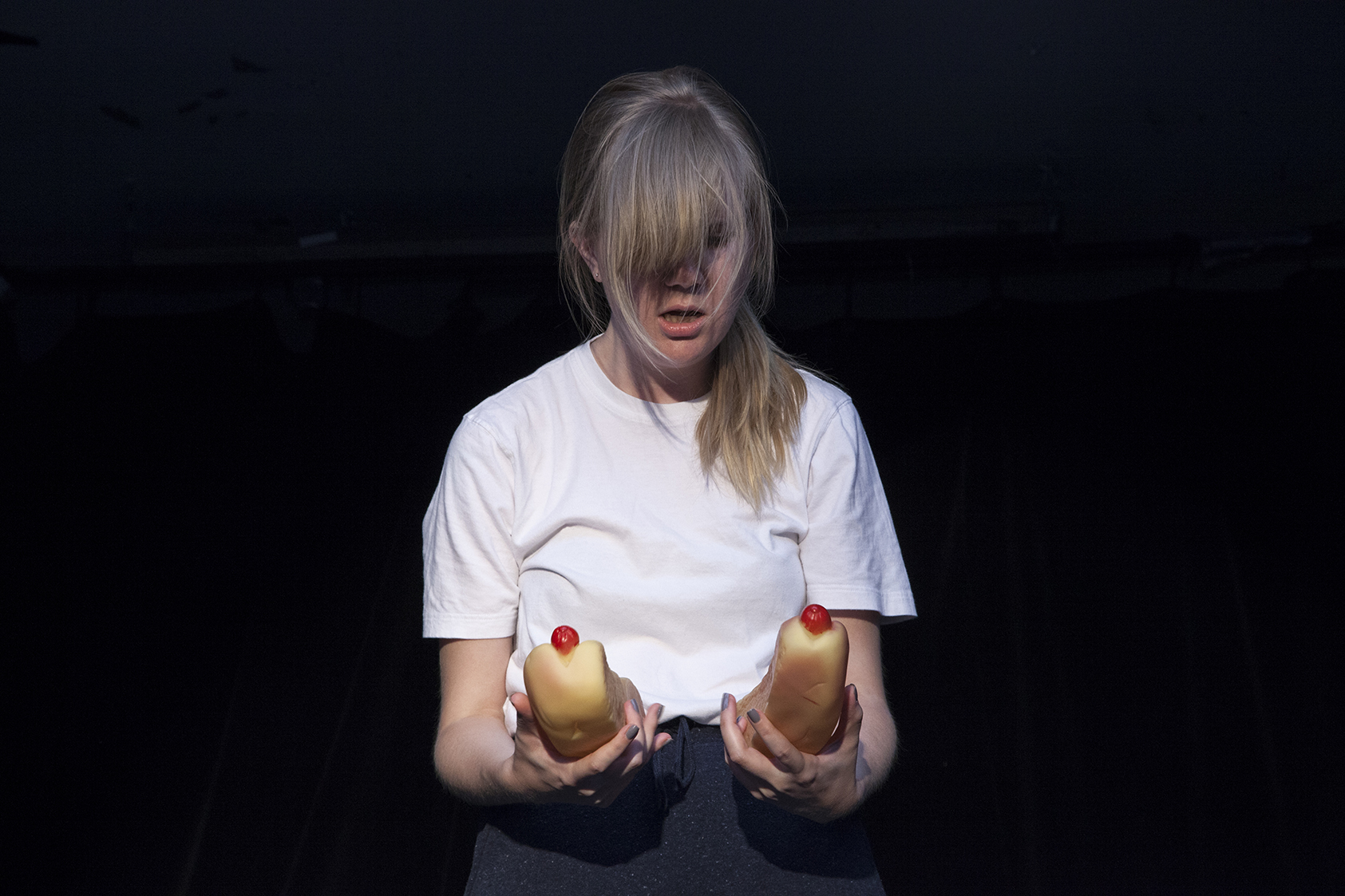 Things a Person is Supposed to Wonder, Bridget Moser, 2017 PuSh Festival