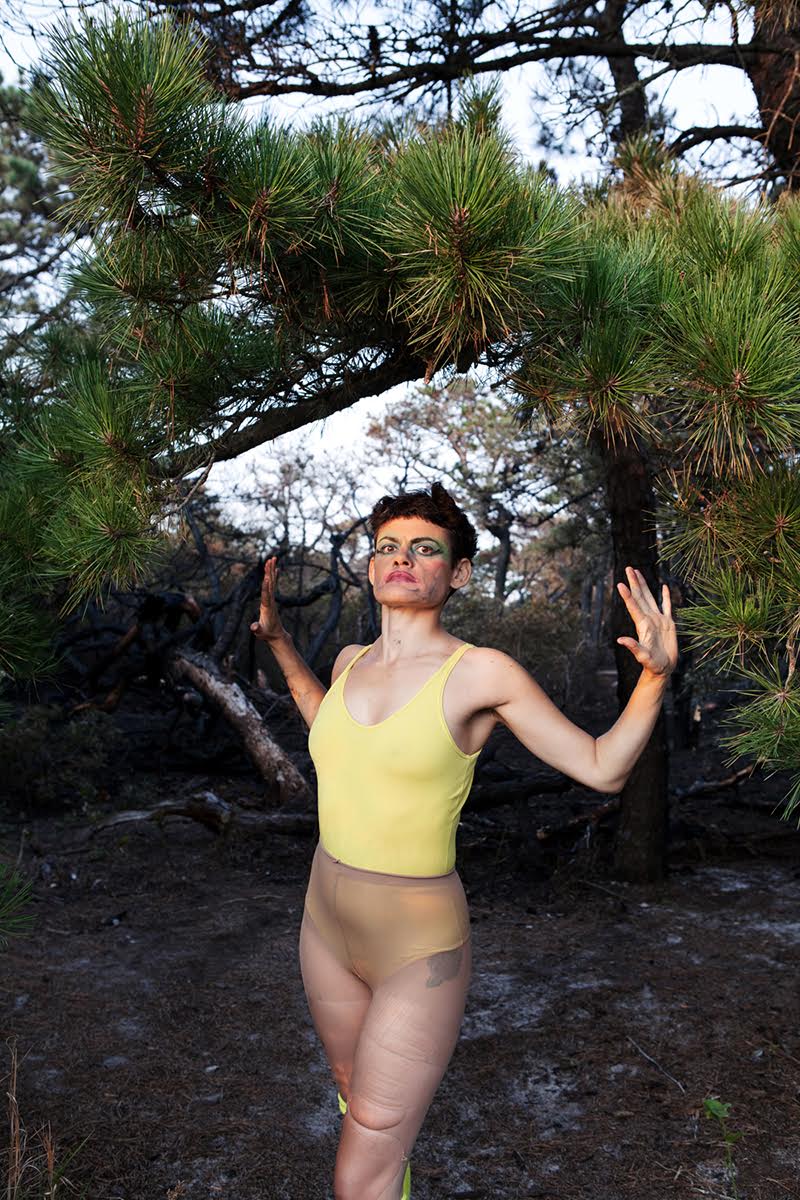 Dynasty Handbag, Jibz Cameron, 2017 PuSh Festival