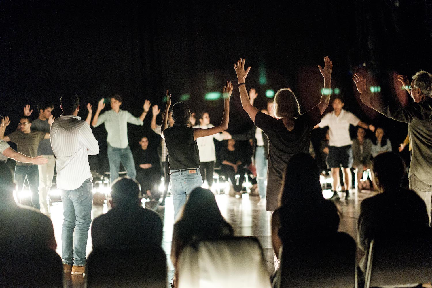 The Fever performance people standing with arms raised